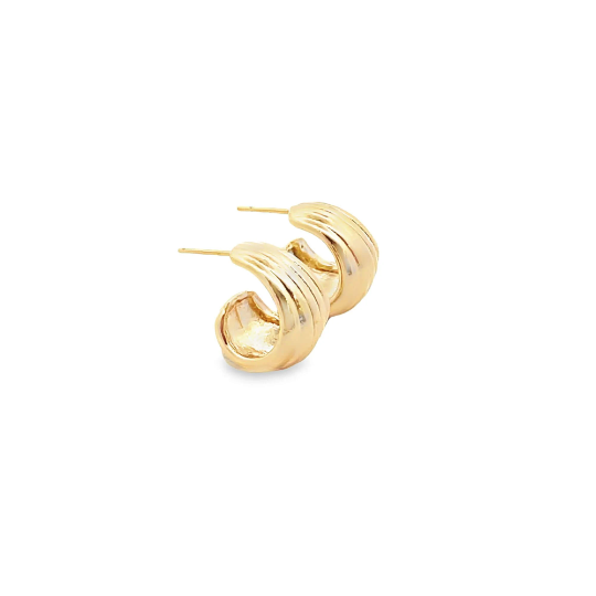 Earrings Jewellery