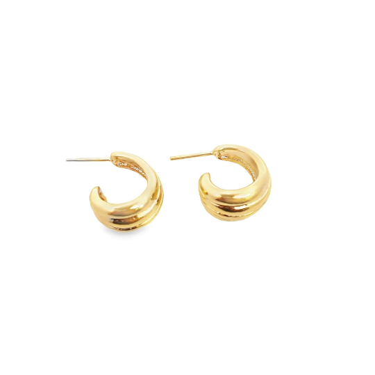 Earrings Jewellery