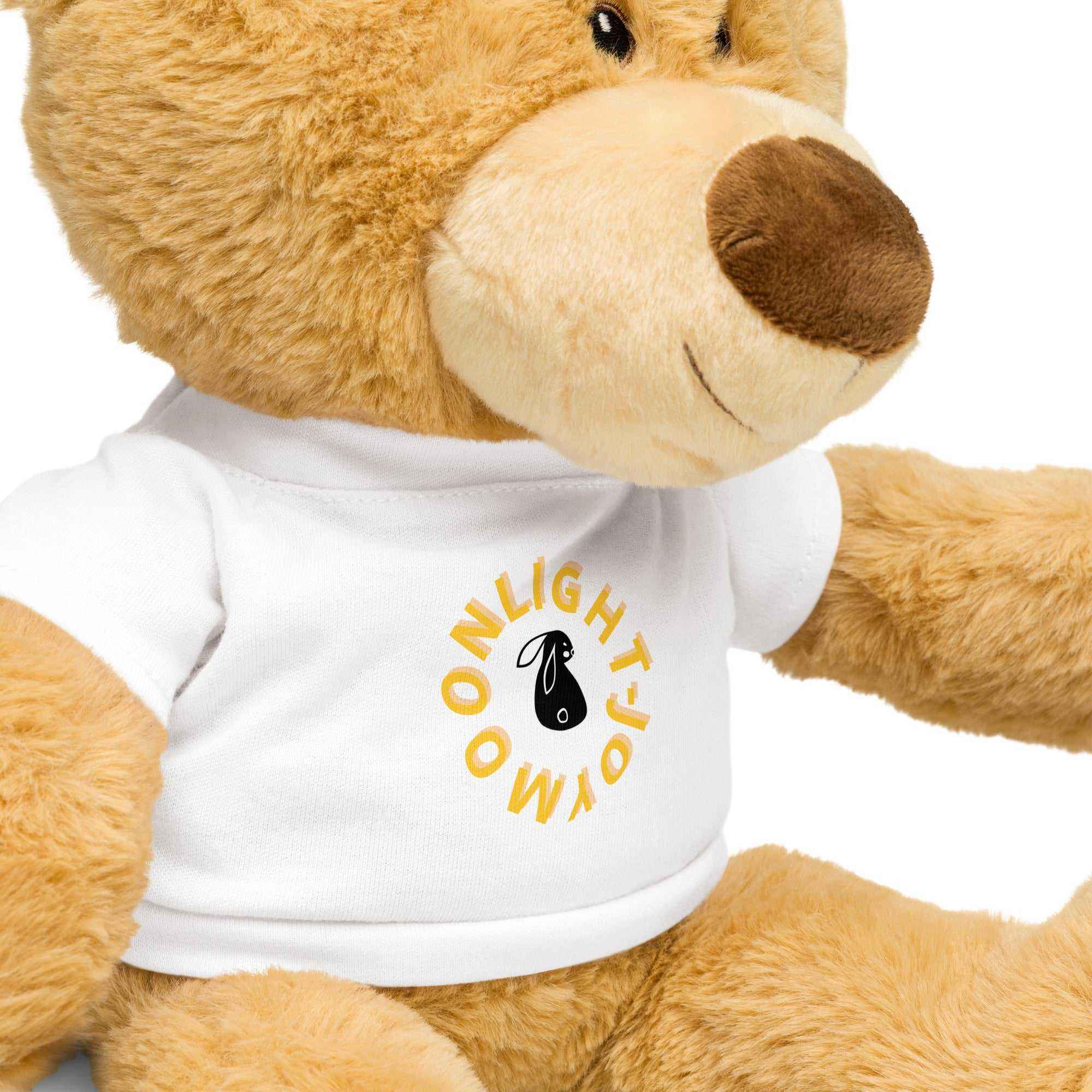 Teddy bear with a t-shirt